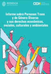 Lee más sobre el artículo Informe sobre Personas Trans y de Género Diverso y sus derechos económicos, sociales, culturales y ambientales