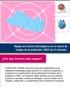 Lee más sobre el artículo Mapeo de actores estratégicos en el marco de trabajo de la población LGBTI en El Salvador