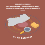 Estudio de casos que evidencian la discriminación  y violencia contra la población LGTBI