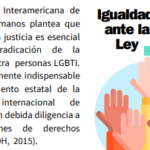 Acceso a la justicia para personas LGBTIQ+:Componentes y desafíos