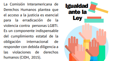 Lee más sobre el artículo Acceso a la justicia para personas LGBTIQ+:Componentes y desafíos